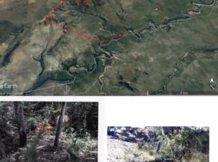 Fazenda Ribeirão em Cocos - BA, 120km Chapada Gaucha
