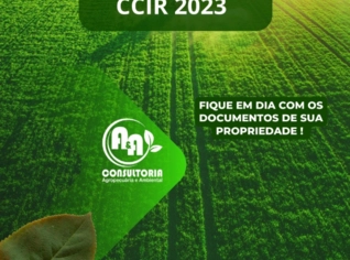 Consultoria em Regularização Fundiária CCRI 2023