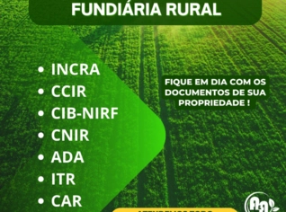 Regularização Fundiária: Garanta Seu Direito de Propriedade