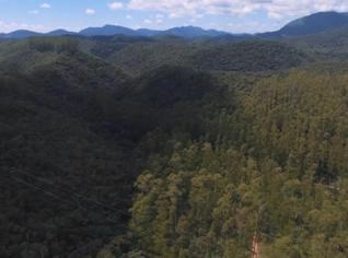 Fazenda de Eucalipto 600ha em Lima Duarte/MG