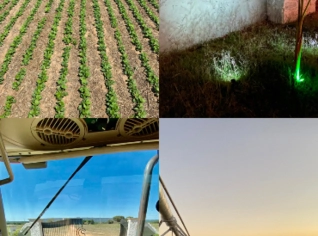 Fazenda Porteira Fechada 207ha com 2 Pivôs em Riachinho