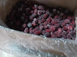 Amora Congelada Fresca