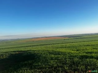Fazenda 738,6ha em Bom Sucesso, PR - Dupla Aptidão