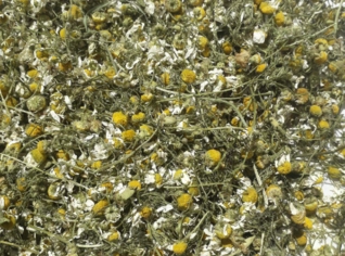 Camomila Desidratada Natural e Selecionada