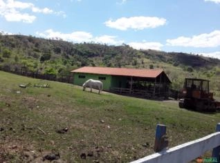 Fazenda para Pecuária em Cocalzinho de Goiás