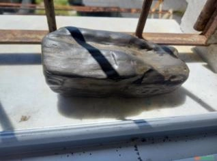 Meteorito raro da Bahia encontrado em Vitória-ES