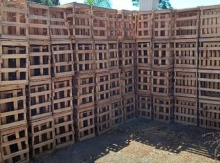 Caixas Práticas para Frutas em Tupanciretã