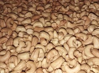 Castanha de Caju Torrada e Caramelizada 1kg