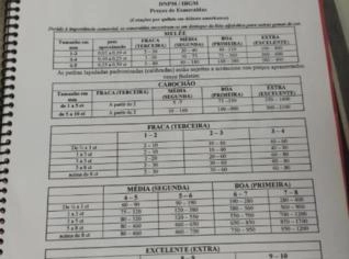 Lote de Esmeraldas com Avaliação - Rio de Janeiro
