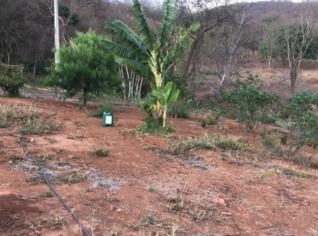 Sítio 7,5 ha com casa 4 quartos em Montes Claros - MG