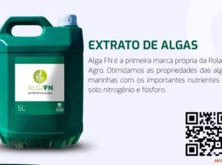 Extrato de Algas FN com Nitrogênio e Fósforo, 5L
