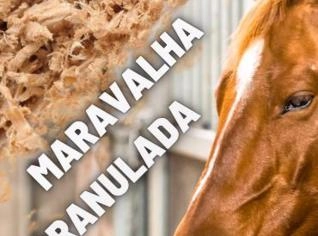 Serragem em sacos – Maravalha e Granulada RJ
