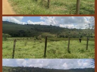 Fazenda Fortaleza - Cacau em Gandu, Bahia