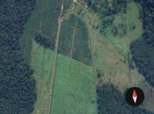 Fazenda em Cananéia/SP com 109 alqueires à venda