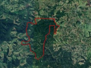 Fazenda com Pinus em Cerro Azul - 91 Hectares