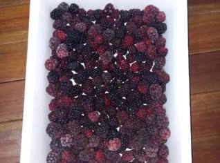 Amora Preta Congelada - 25 R$/kg