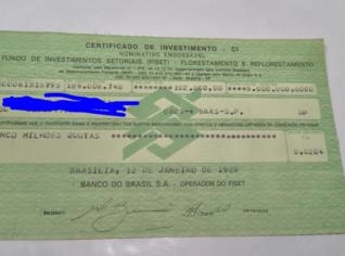 Fiset - Projeto de Florestamento em SP