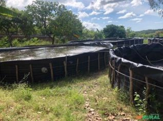 Terreno de 18.373m² à venda em Horizonte