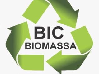 Cavaco de Madeira para Biomassa - Diversas Madeiras