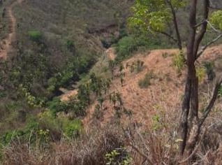 Fazenda para Reserva Legal em Lagamar