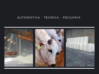 Suplemento Ureia Pecuária - 25Kg
