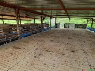 Sítio 6,6 Hectares à Venda em Salto