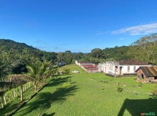 Fazenda de Cacau em Uruçuca - Oportunidade Única