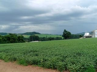 Sítio Produtivo em Campo Bonito - PR