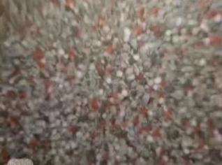 Fertilizante NPK 20.00.20 - Pinhais, PR