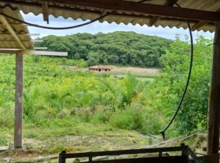 Linda Propriedade Rural em Antonina - 65 Hectares