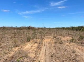 Fazenda no Anel da Soja - 444,44 Ha em BA
