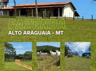 Fazenda para Pecuária em Alto Araguaia