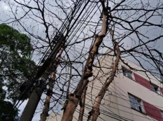 Consultoria Ambiental Especializada em São Paulo