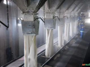 Açúcar ICUMSA Ic 45 - 300 Toneladas - São Paulo