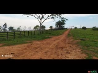 Fazenda Boa Vista à Venda em Rio Branco