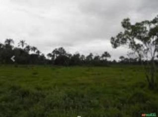 Fazenda em Bonito de Minas - Reserva Ambiental