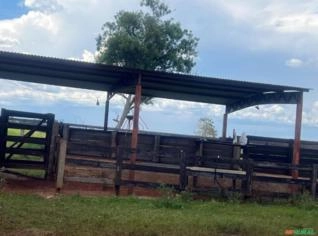 Fazenda 401 ha para Pecuária e Agricultura