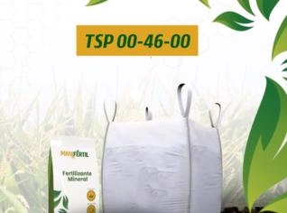 Fertilizante TSP - Superfosfato Triplo Concentrado