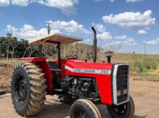 Trator Massey Ferguson 290 - 1984 - SP
