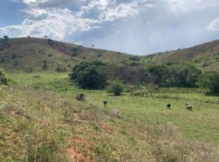 Fazenda à Venda em Periquito