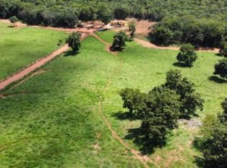Fazenda Serra Azul - Oportunidade Imperdível