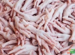 Compro Pé de Frango para Exportação
