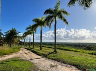 Fazenda de Cacau e Coco Verde em Canavieiras