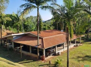 Sitio em Juruaia - Café e Mel