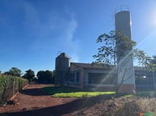 Granja Suína com Capacidade para 2900 Animais