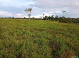 Sítio à venda - 67,7 Hectares em Rondônia