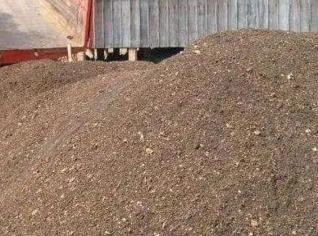 Cama de Frango para Engorda