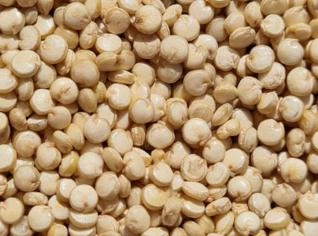 Casca de Quinoa: Saúde e Sabor para Carnes