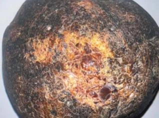 Geodos de Ágata Brutos para Decoração