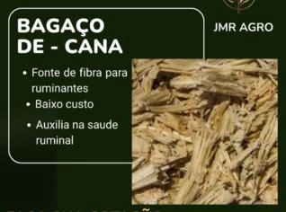 Bagaço de Cana de Açúcar - Fonte de Fibra para Nutrição